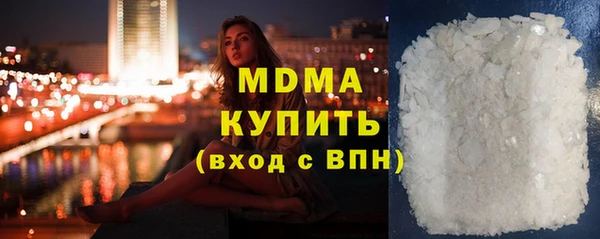 индика Алексин
