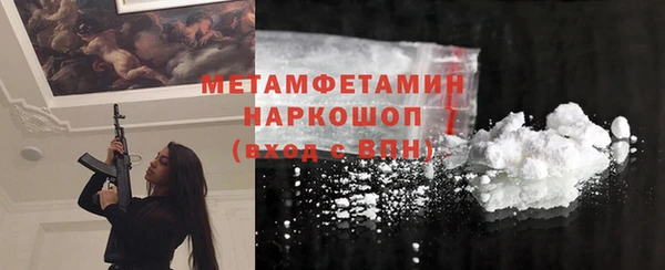 индика Алексин