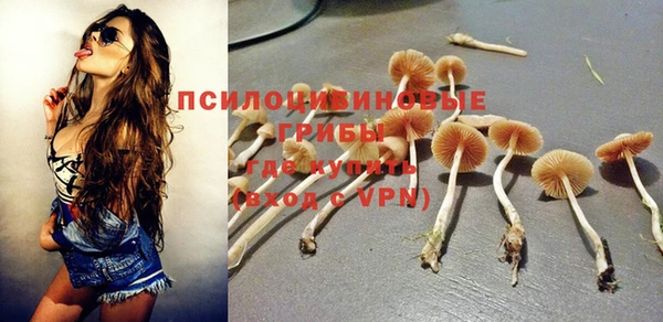 спиды Новозыбков