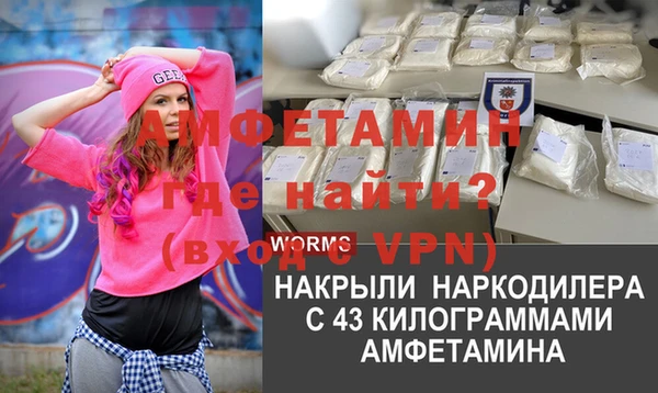 индика Алексин