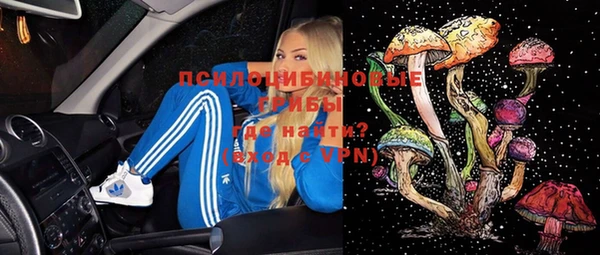 индика Алексин