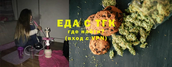 индика Алексин