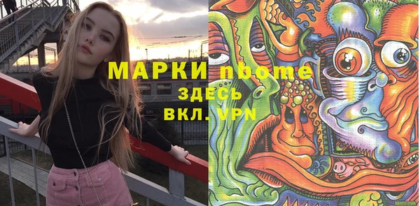 индика Алексин