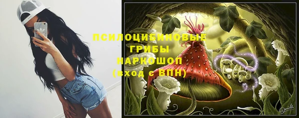 таблы Алексеевка