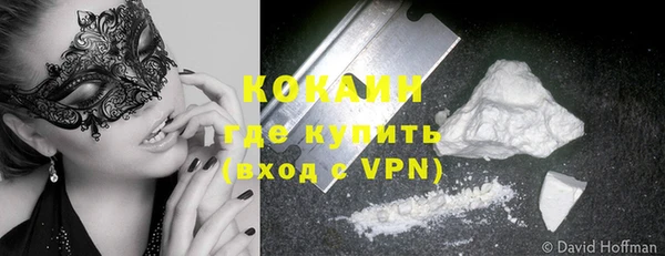 индика Алексин