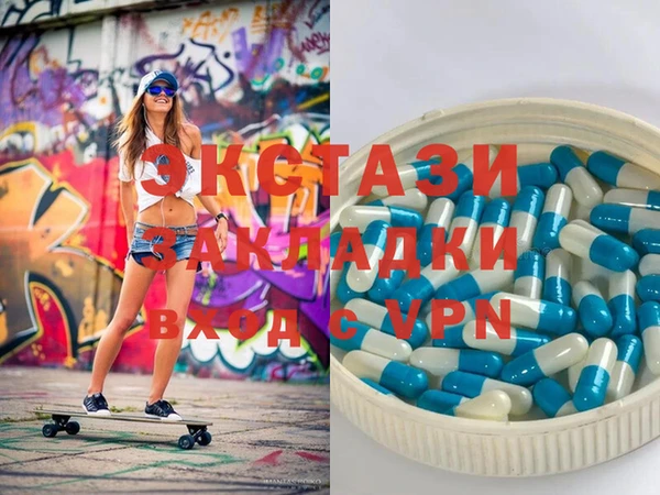 индика Алексин